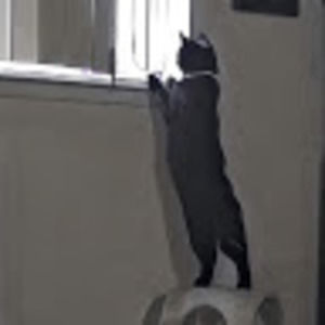 Meet your Posher, Becca